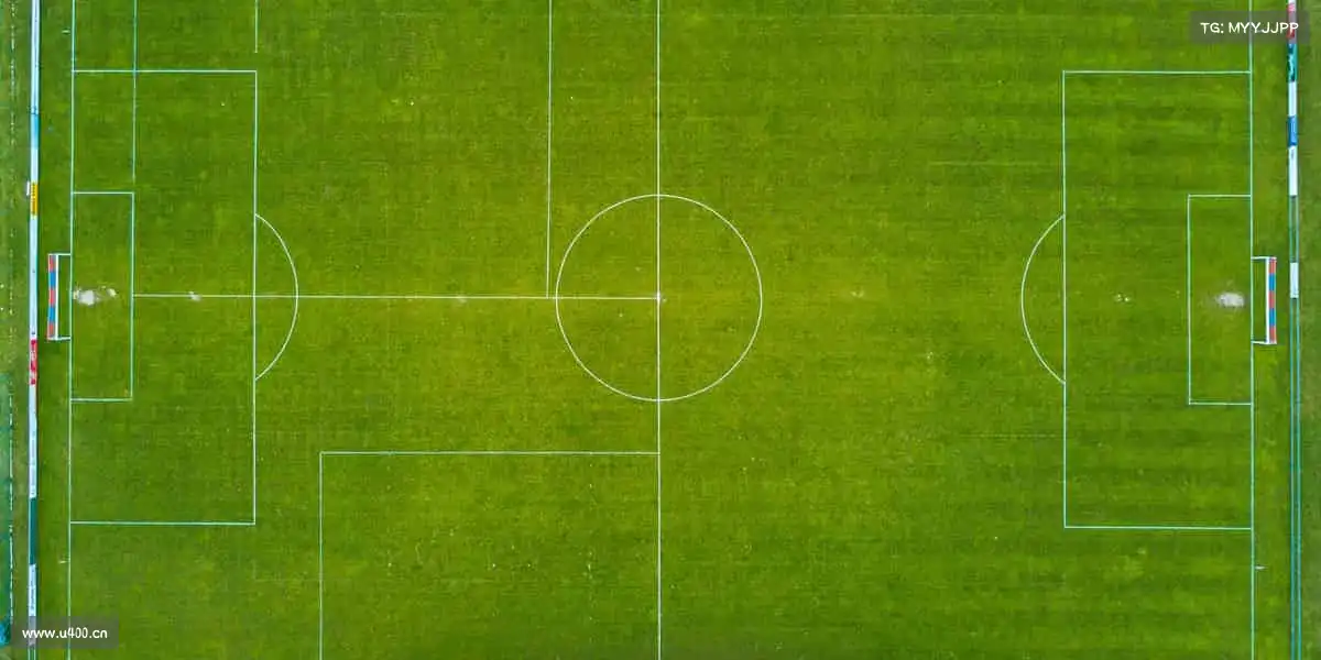 行业领先的理由